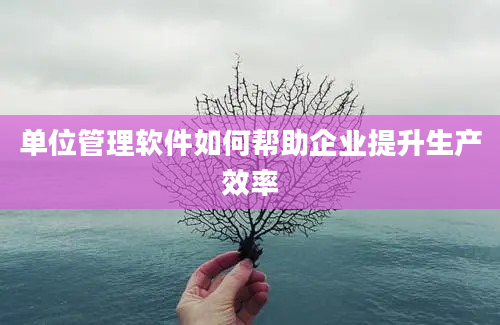 单位管理软件如何帮助企业提升生产效率