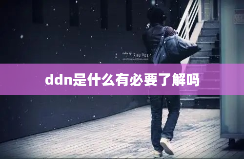 ddn是什么有必要了解吗