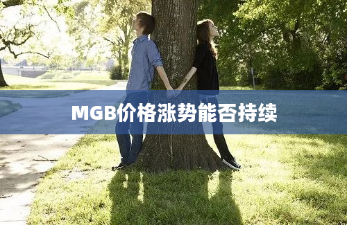 MGB价格涨势能否持续