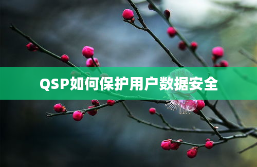 QSP如何保护用户数据安全