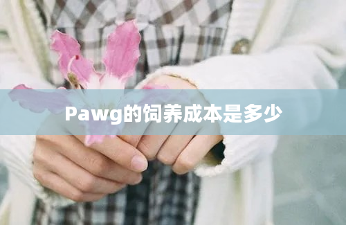 Pawg的饲养成本是多少