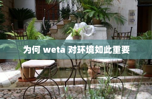 为何 weta 对环境如此重要