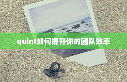 quint如何提升你的团队效率