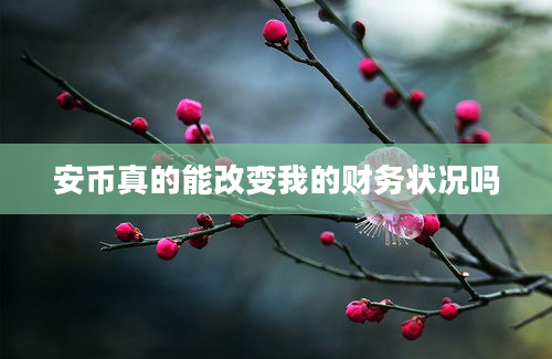 安币真的能改变我的财务状况吗