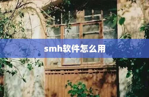 smh软件怎么用