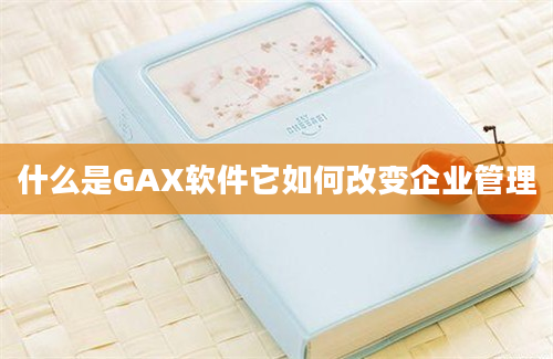 什么是GAX软件它如何改变企业管理