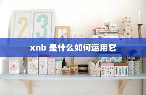 xnb 是什么如何运用它