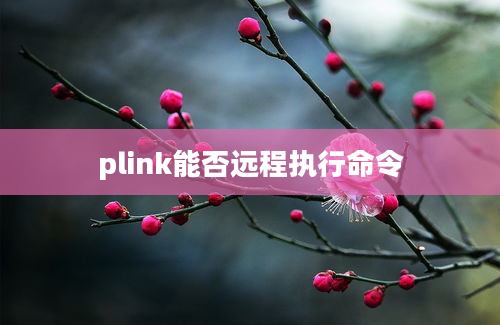 plink能否远程执行命令