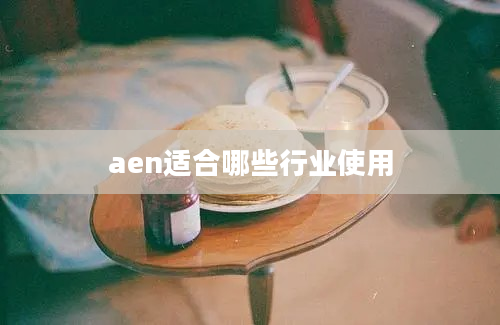 aen适合哪些行业使用