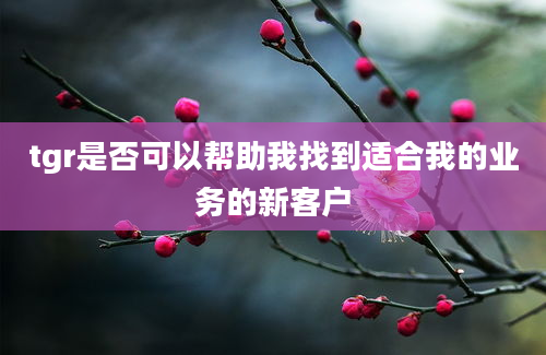 tgr是否可以帮助我找到适合我的业务的新客户