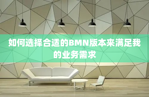 如何选择合适的BMN版本来满足我的业务需求