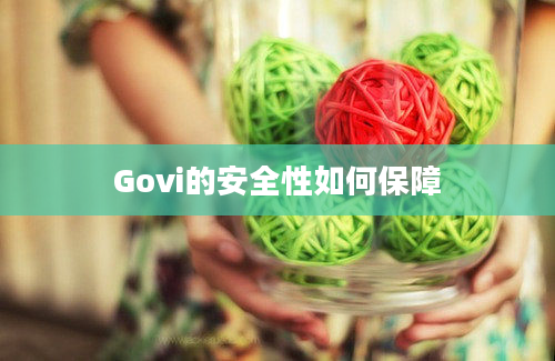 Govi的安全性如何保障