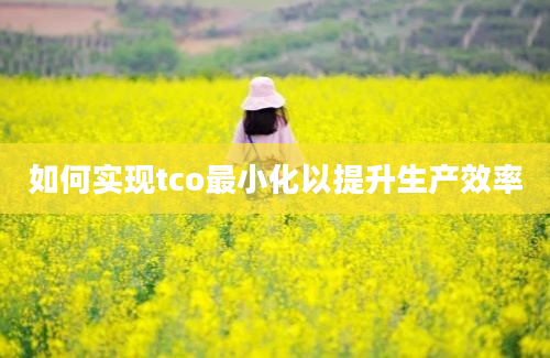 如何实现tco最小化以提升生产效率