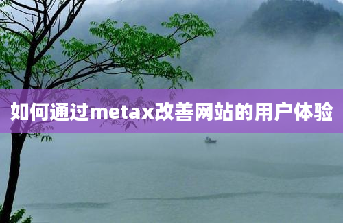 如何通过metax改善网站的用户体验