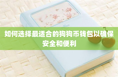 如何选择最适合的狗狗币钱包以确保安全和便利