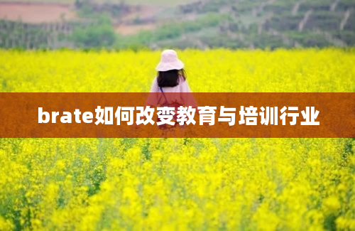 brate如何改变教育与培训行业