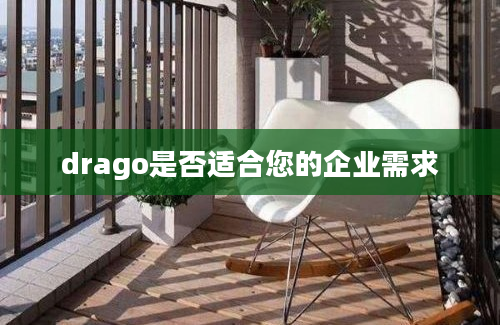 drago是否适合您的企业需求