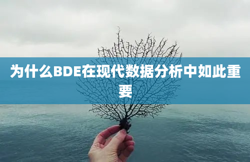 为什么BDE在现代数据分析中如此重要