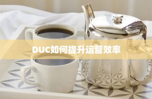 DUC如何提升运营效率