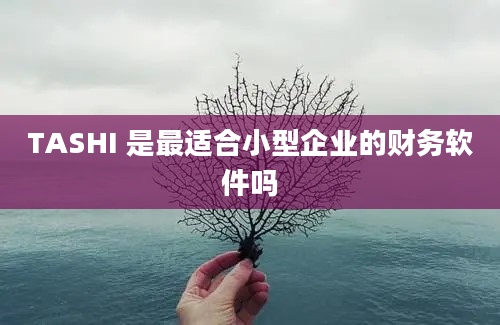 TASHI 是最适合小型企业的财务软件吗