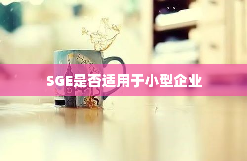 SGE是否适用于小型企业