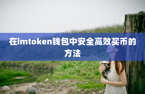 在imtoken钱包中安全高效买币的方法