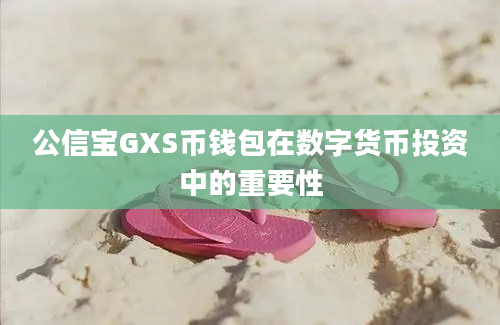 公信宝GXS币钱包在数字货币投资中的重要性