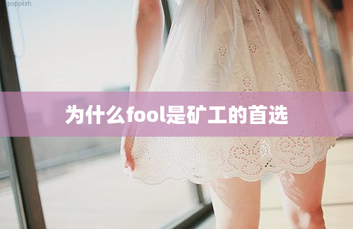 为什么fool是矿工的首选