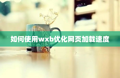 如何使用wxb优化网页加载速度