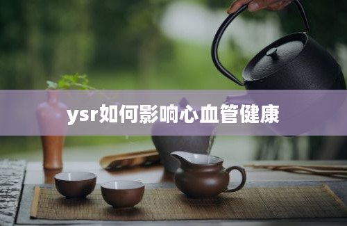 ysr如何影响心血管健康