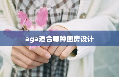 aga适合哪种厨房设计