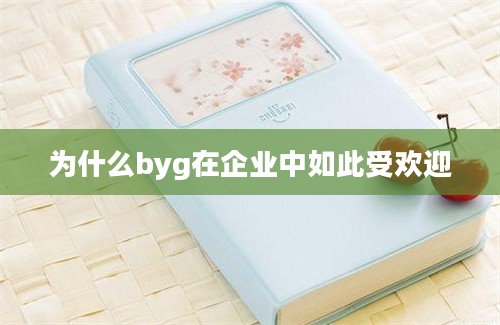 为什么byg在企业中如此受欢迎