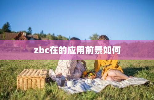 zbc在的应用前景如何