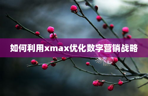 如何利用xmax优化数字营销战略