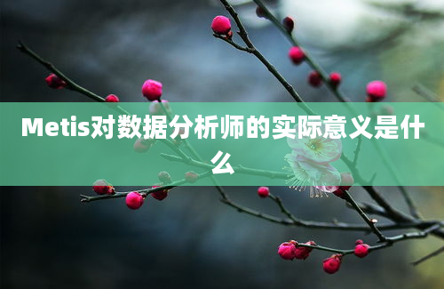 Metis对数据分析师的实际意义是什么