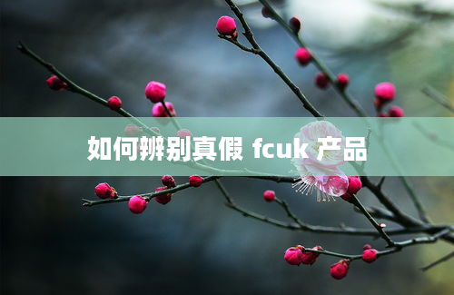 如何辨别真假 fcuk 产品