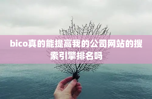 bico真的能提高我的公司网站的搜索引擎排名吗