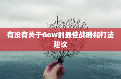 有没有关于Gow的最佳战略和打法建议