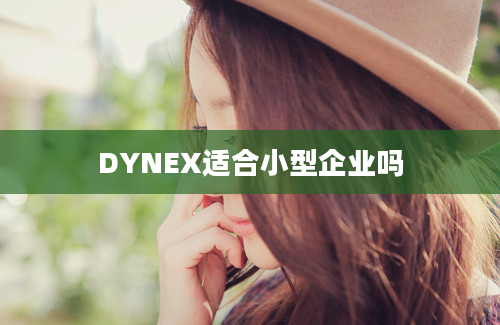 DYNEX适合小型企业吗