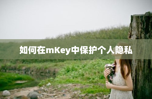 如何在mKey中保护个人隐私