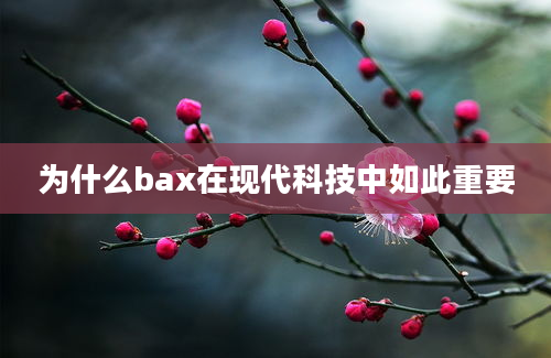 为什么bax在现代科技中如此重要