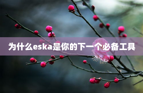 为什么eska是你的下一个必备工具