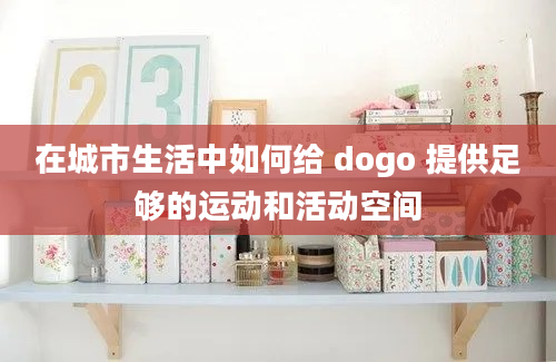 在城市生活中如何给 dogo 提供足够的运动和活动空间