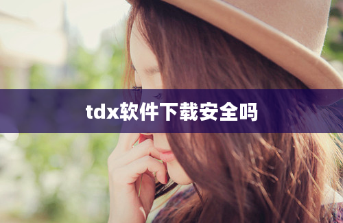 tdx软件下载安全吗