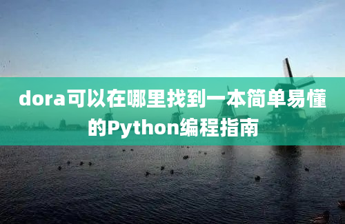 dora可以在哪里找到一本简单易懂的Python编程指南