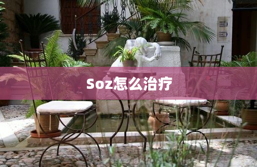 Soz怎么治疗