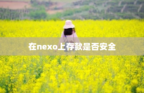 在nexo上存款是否安全