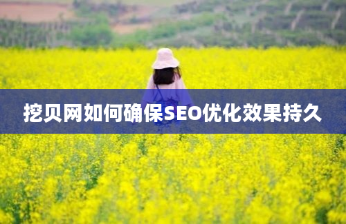 挖贝网如何确保SEO优化效果持久