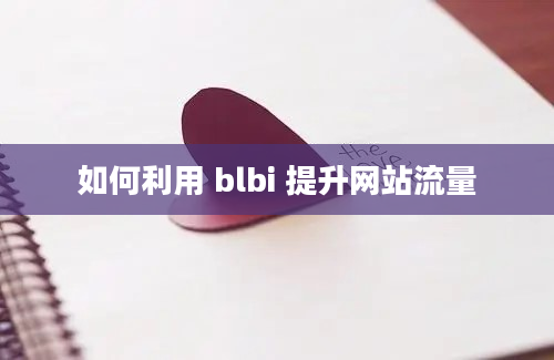 如何利用 blbi 提升网站流量