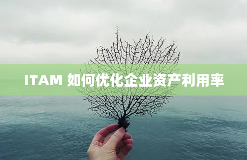 ITAM 如何优化企业资产利用率